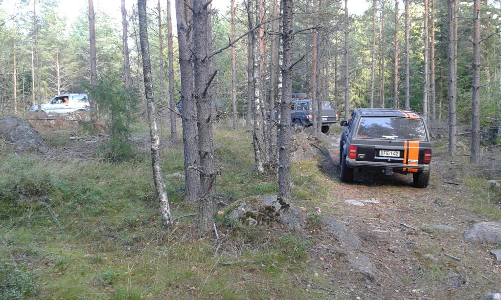 Letka luikerteli metsss