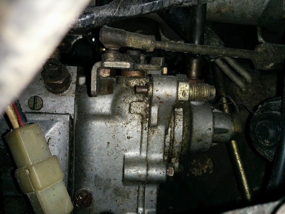 10665224 282393858616468 325970732225927522 n