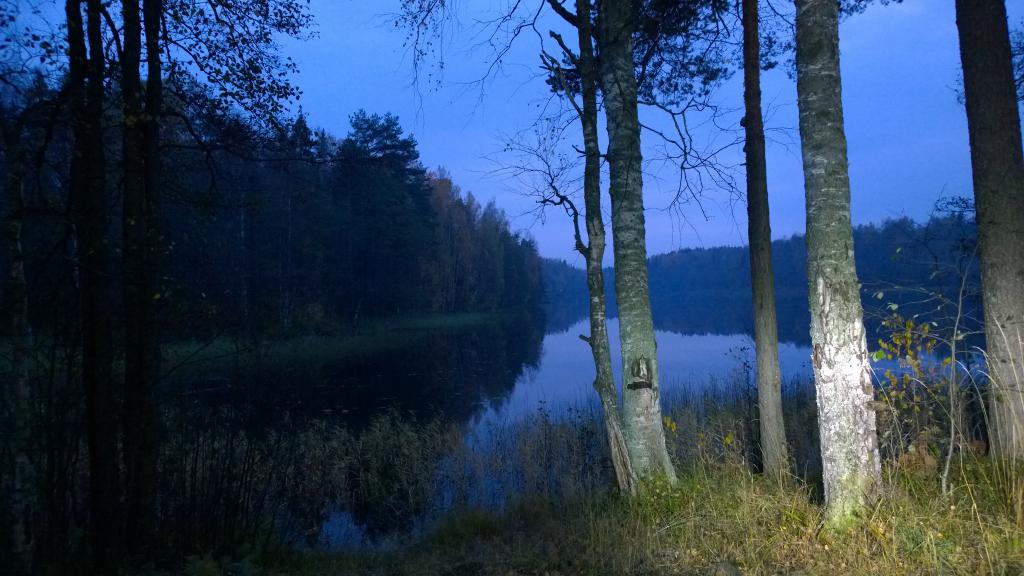 WP 20141009 18 32 38 Pro