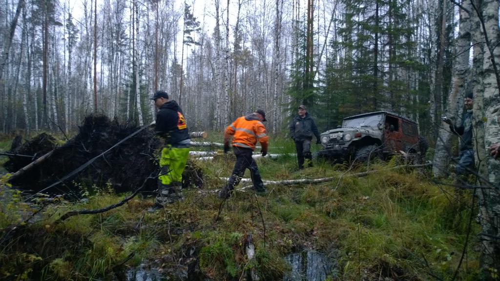 WP 20141010 17 55 56 Pro