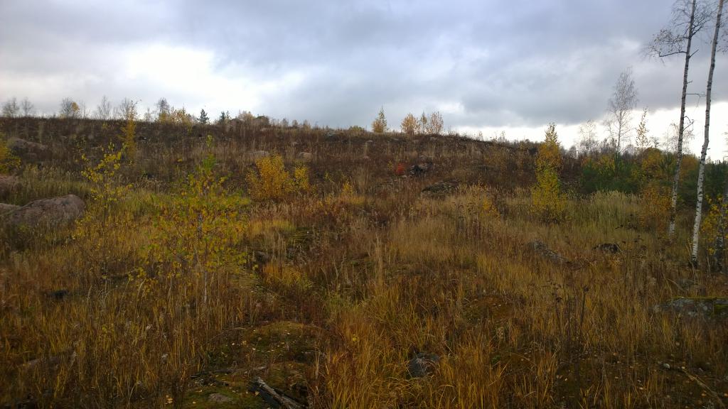 WP 20141011 10 14 06 Pro