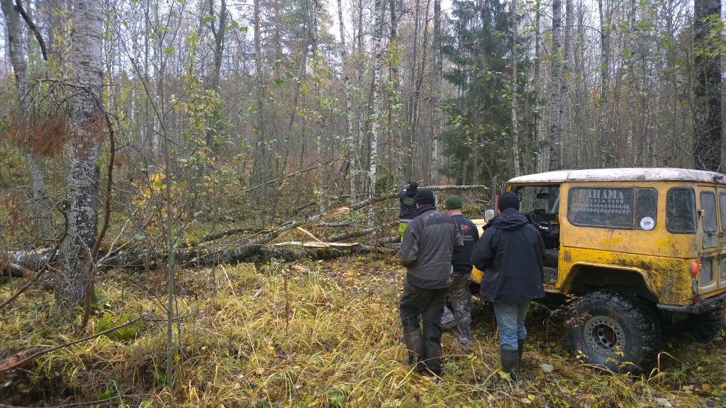 WP 20141011 13 29 34 Pro