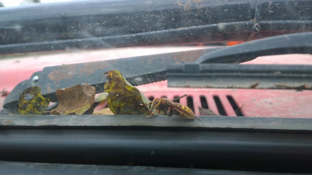 WP 20141011 13 54 32 Pro