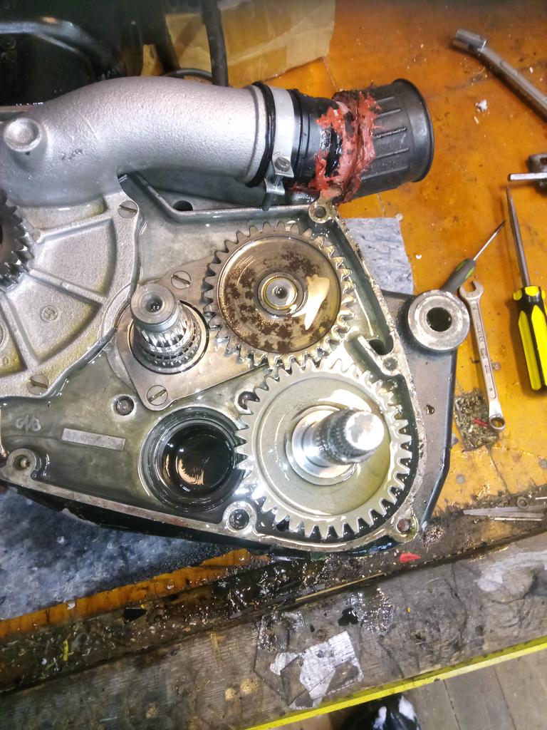 IMG 20230313 152825 138