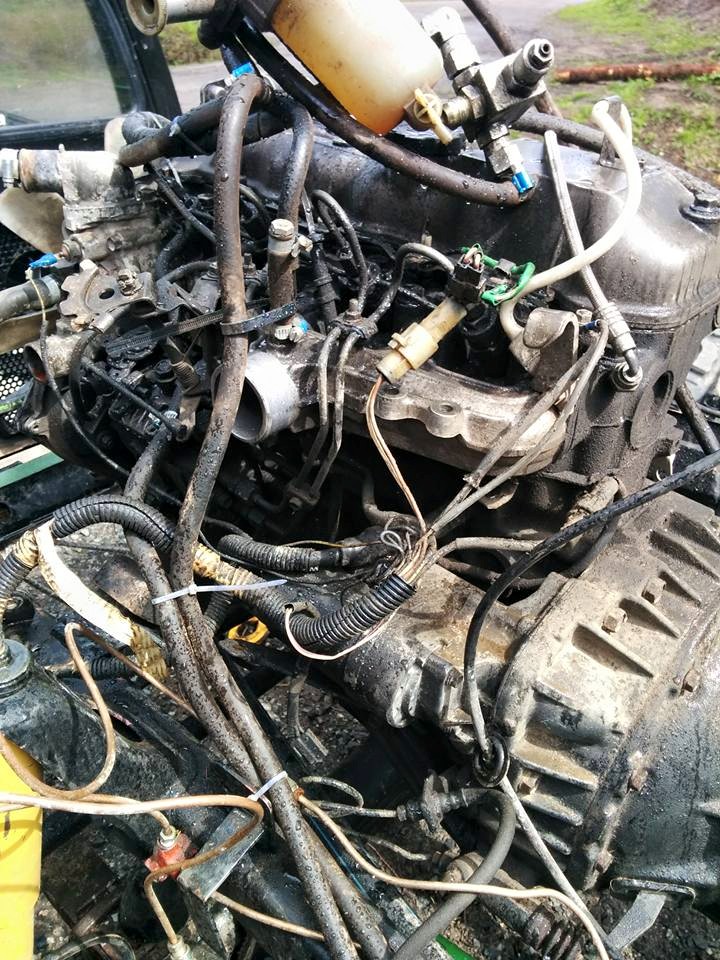 11258152 361960767326443 3532391866610061396 n