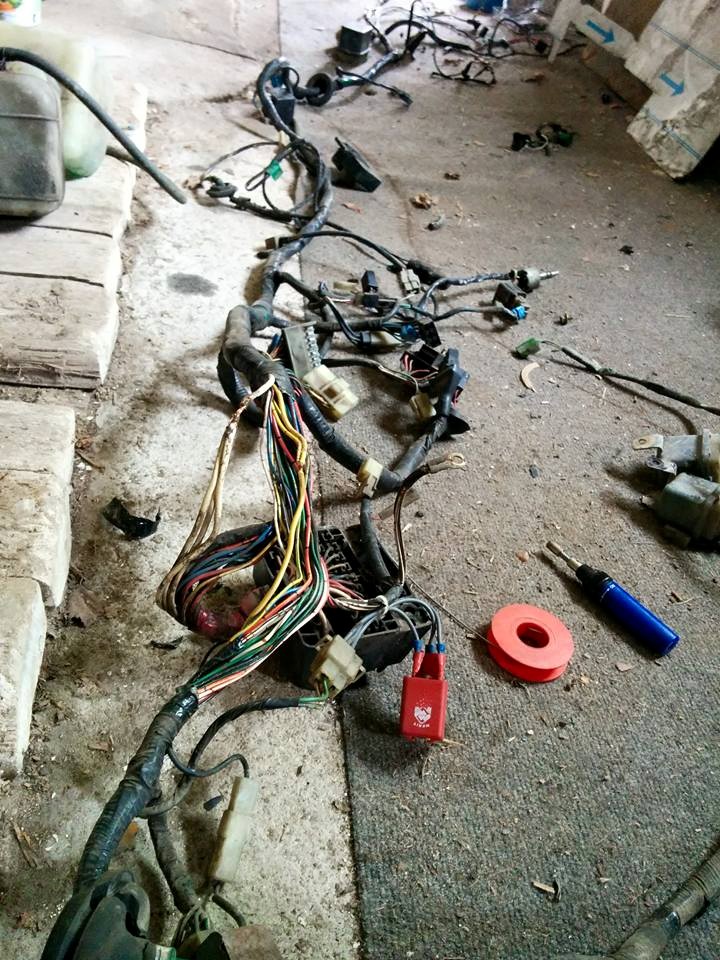 10420226 361960797326440 1887372262433641759 n