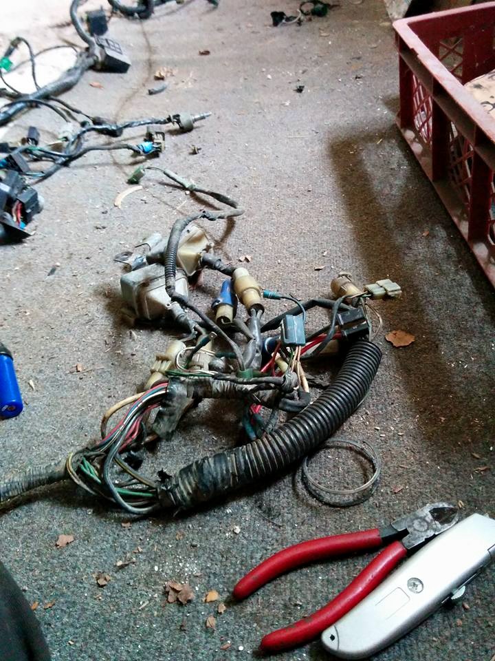 11152331 361962477326272 809886693414659921 n