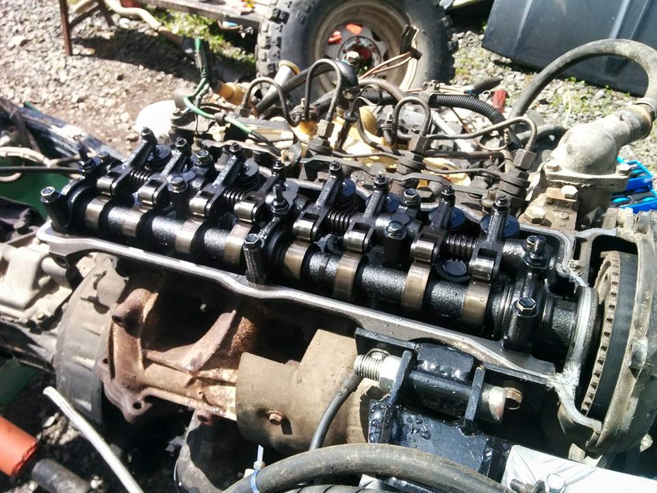 11350603 362941280561725 4873925506953637822 n