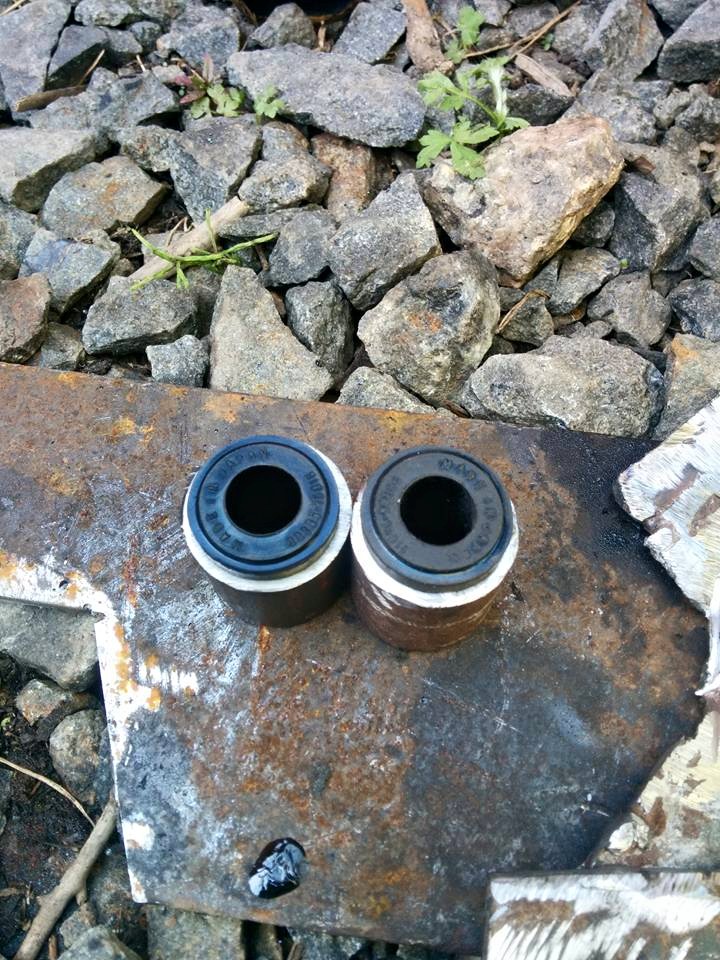 10989519 364724337050086 1227574773607346240 n