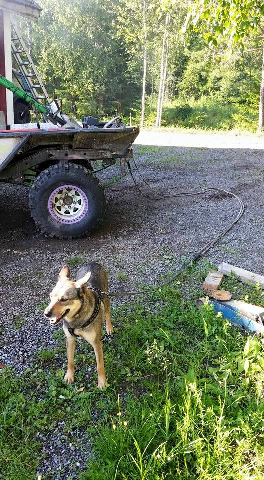 11141165 397936430395543 3371484020324759414 n