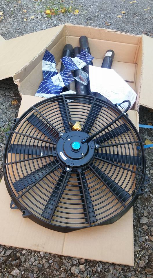 12038398 416187311903788 2940834738943536904 n