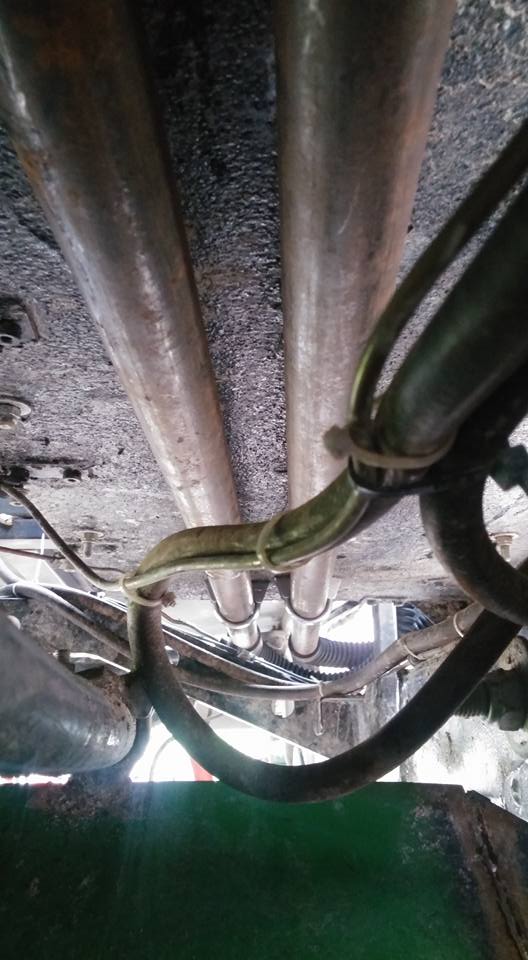 12011313 416187405237112 6871445691136436446 n