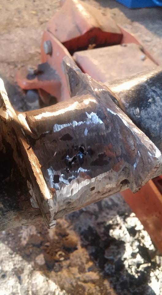 12118791 425398450982674 503064876777862224 n