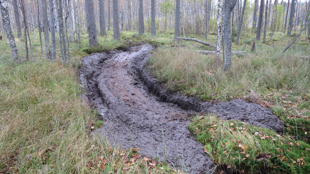 mudventures 2015 044