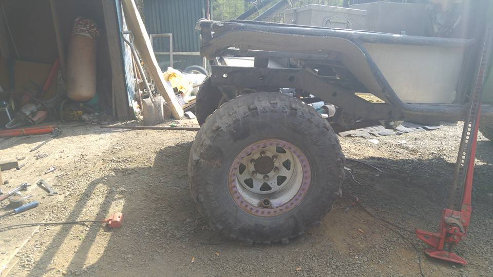 13173773 484306051758580 540403861056860335 n