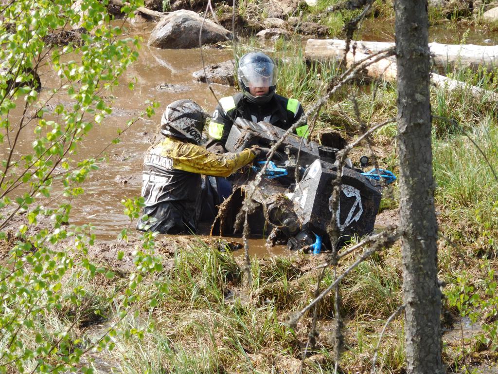 Elebet sunnistus 21.5 (11)