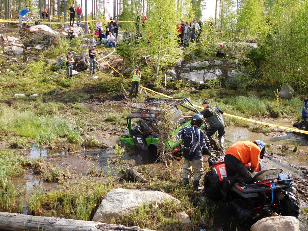 Elebet sunnistus 21.5 (18)