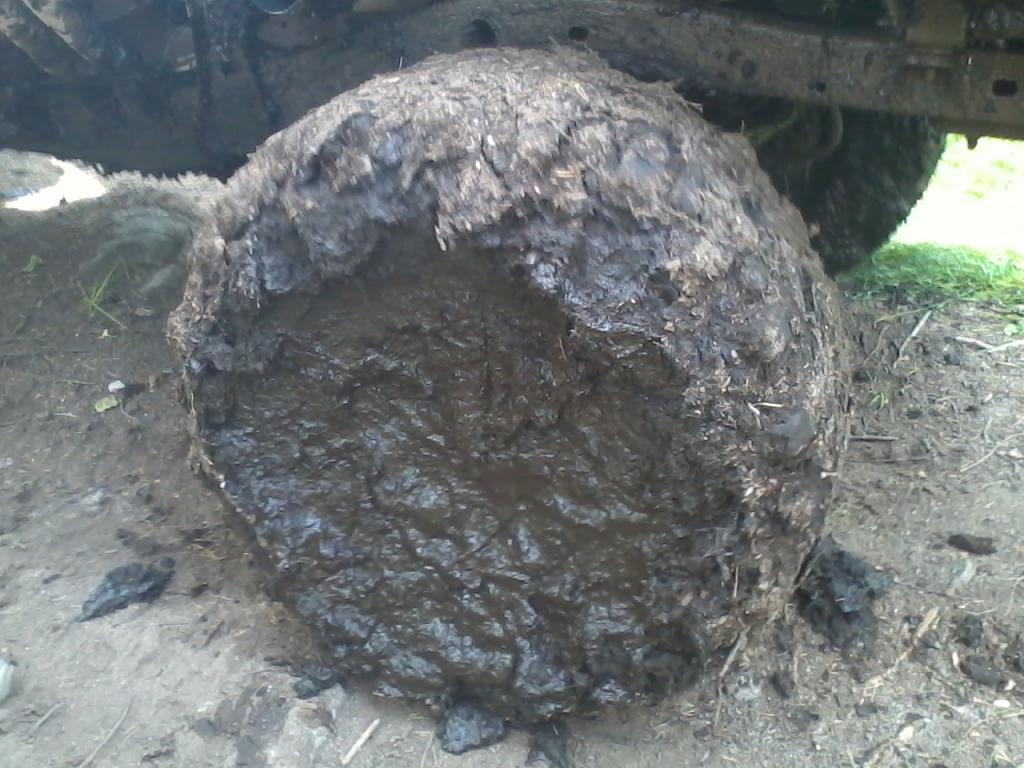 Kulmakorpi 4.7.2015 10