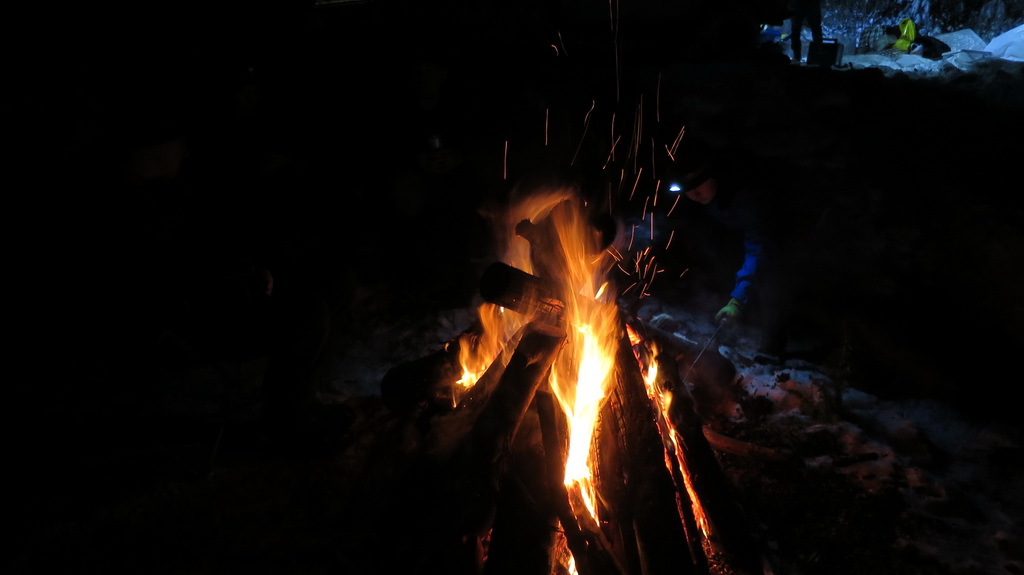 Itsenaisyyspaiva 2016 venaja 005