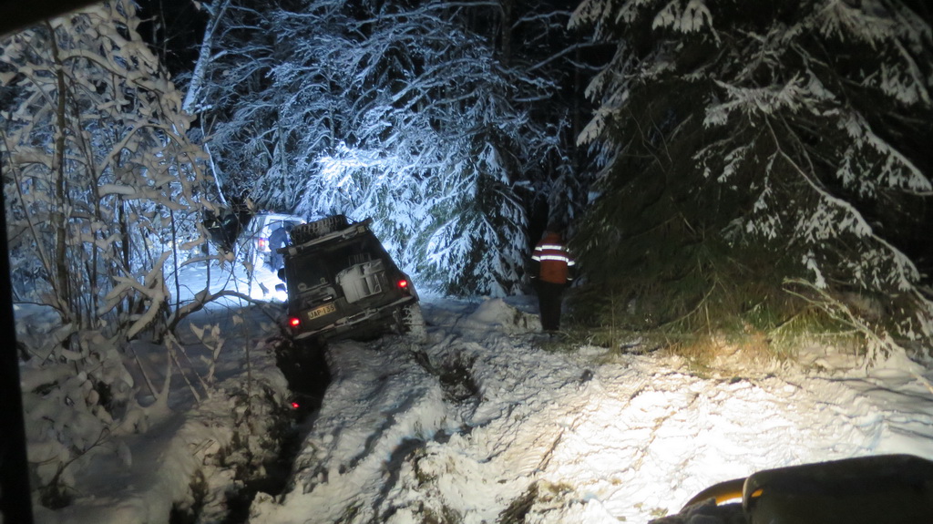 Itsenaisyyspaiva 2016 venaja 028