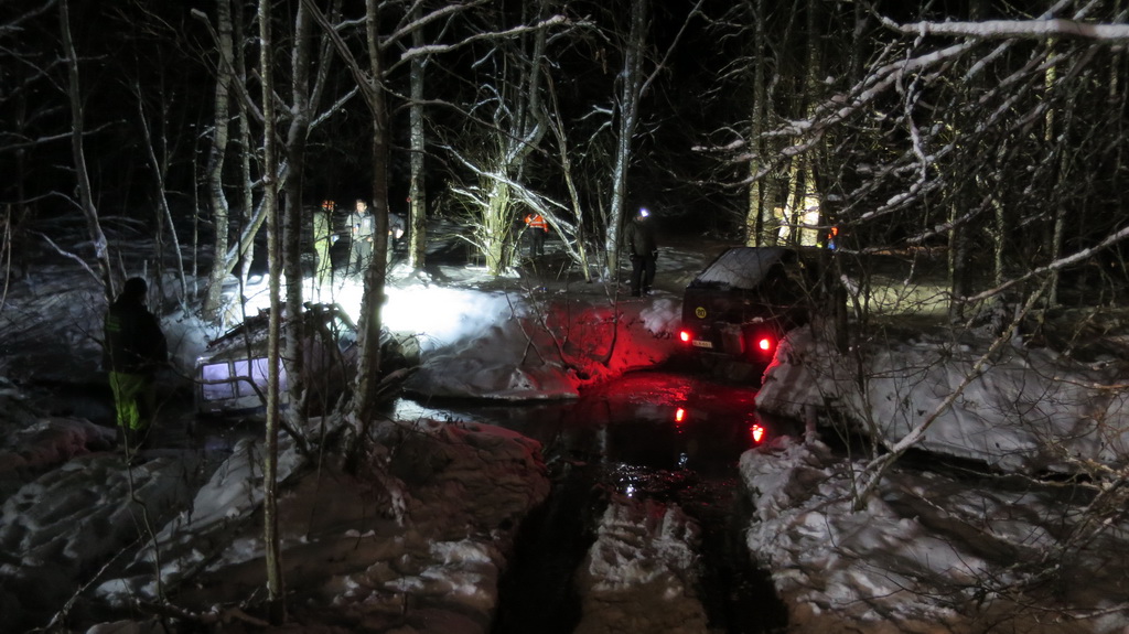 Itsenaisyyspaiva 2016 venaja 073