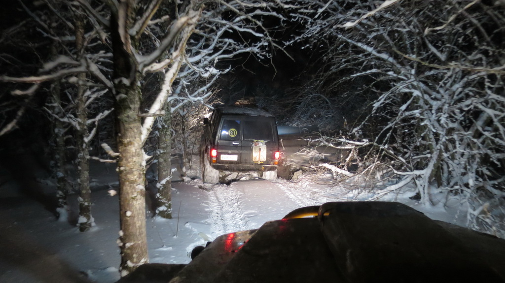 Itsenaisyyspaiva 2016 venaja 081