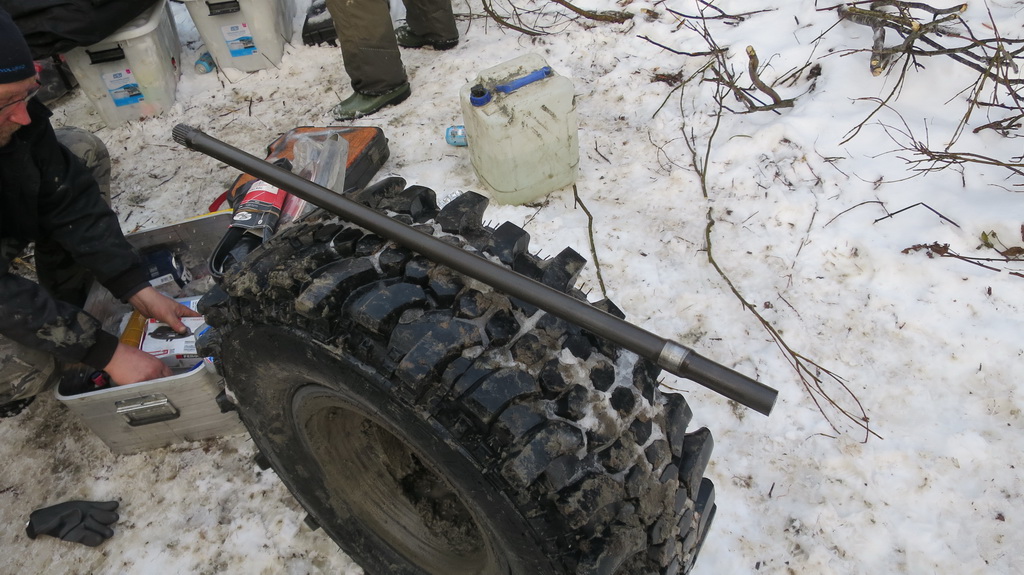 Itsenaisyyspaiva 2016 venaja 087