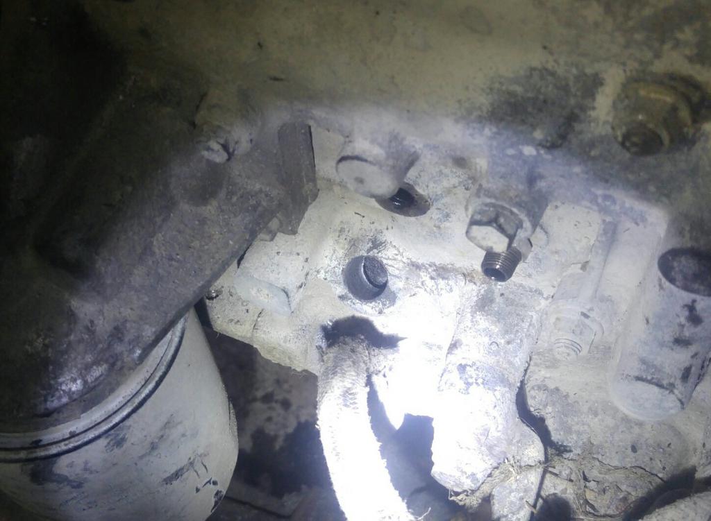 22519876 292369251279739 2764357362037906162 o