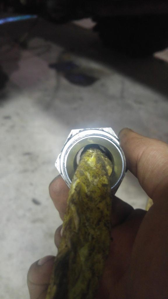 22792508 296896537493677 7544398682339719603 o