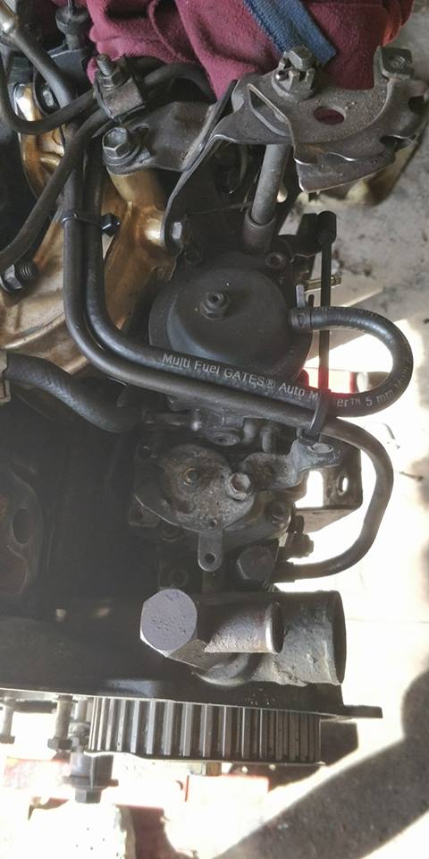 33656914 398466284003368 7882136209391091712 n