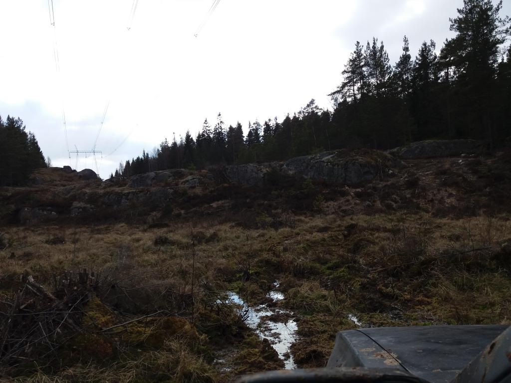 Kakkone pes ja urku auki!