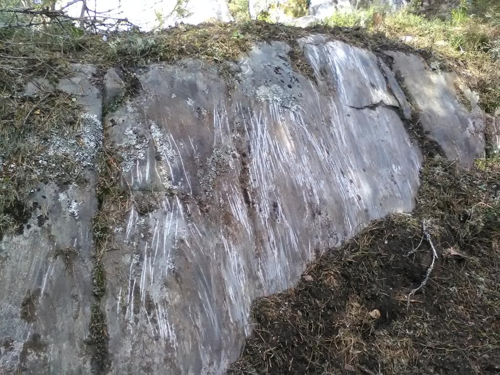 Vihaisia karhuja kun ovat talvella raapinu kaikki pysty nousut :D