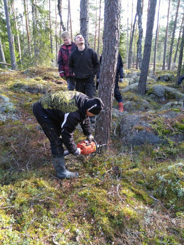 Uutta oikopolkua ja pari puuta pois vyllt