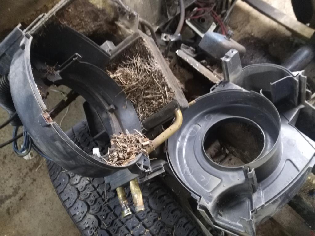 Mutua lmpprin kennon pll.