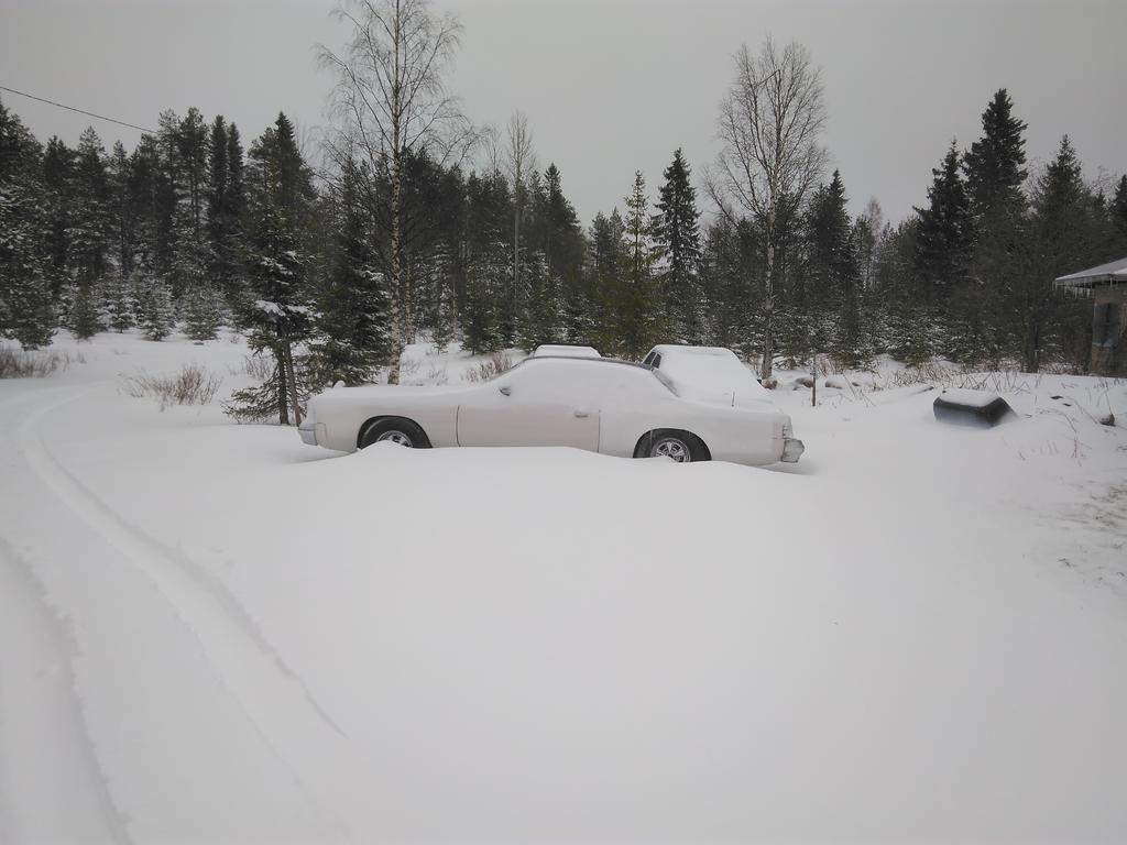 eihn t prkl lumessa kulje... -elikks iski takatalvi