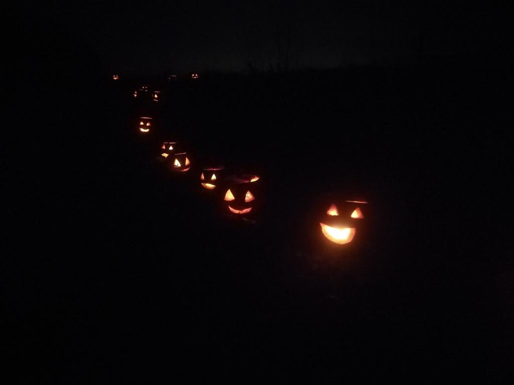 Paluu matkalla rannikon puutarhan kurpitsalyhdyt tienvarrella, aika pheet :):)