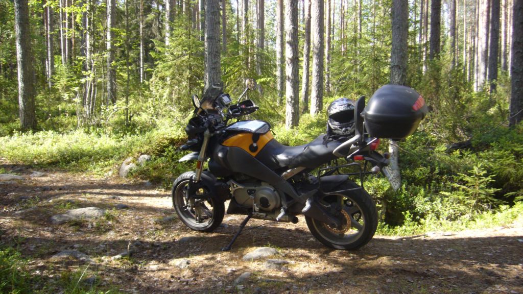 reissua 2015 Mntyharju