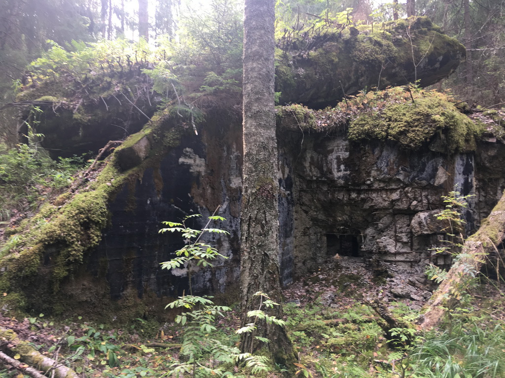 saunasafari 2 2019 045