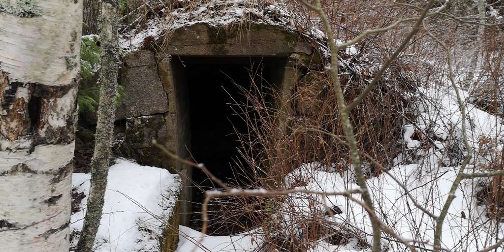 vahalumisafari2020 041