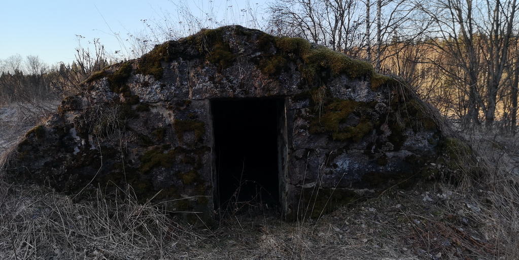 koronasafari100