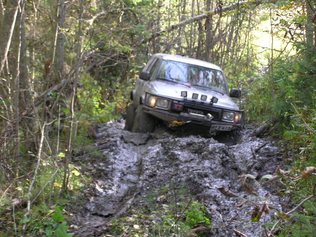 Sakun runneri jumissa