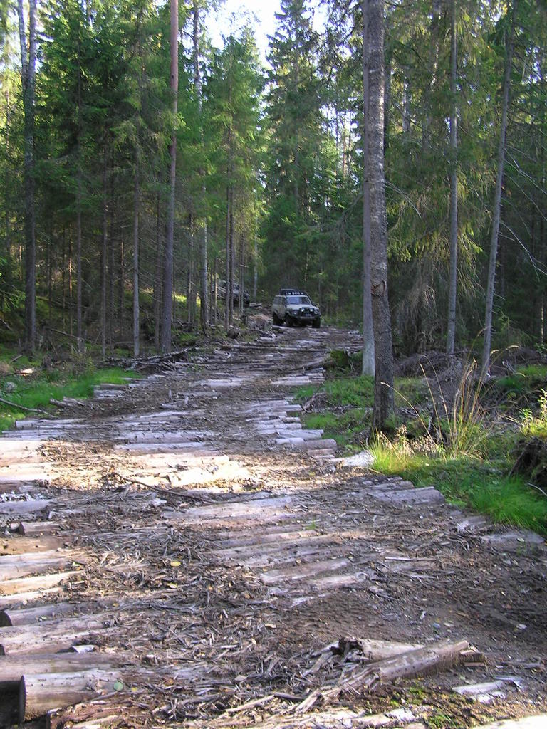 "Lehtijousien surmaaja"