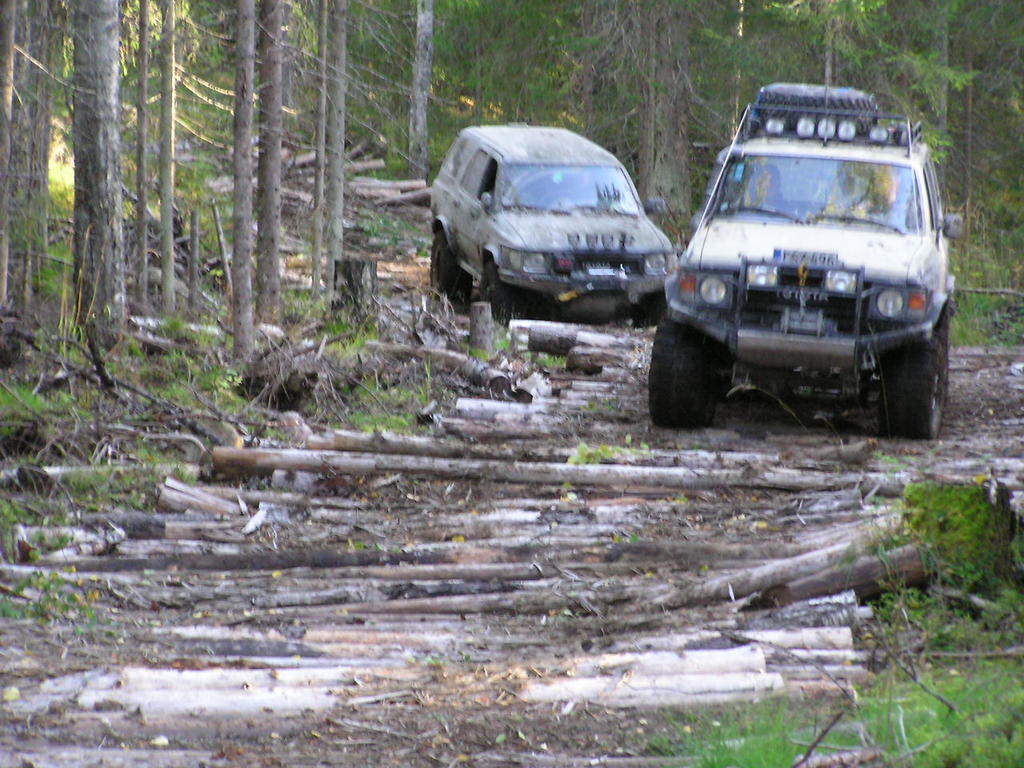 Ville ja Saku tukkitiell
