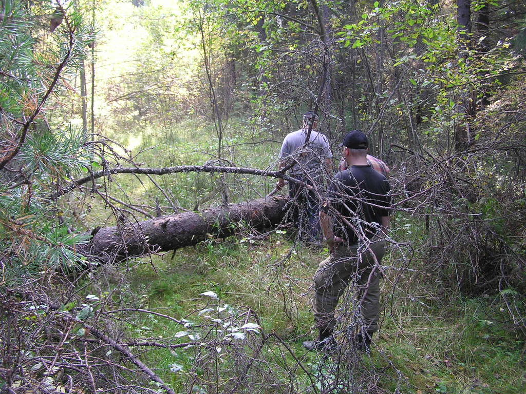 Moottorisahareitin alkua