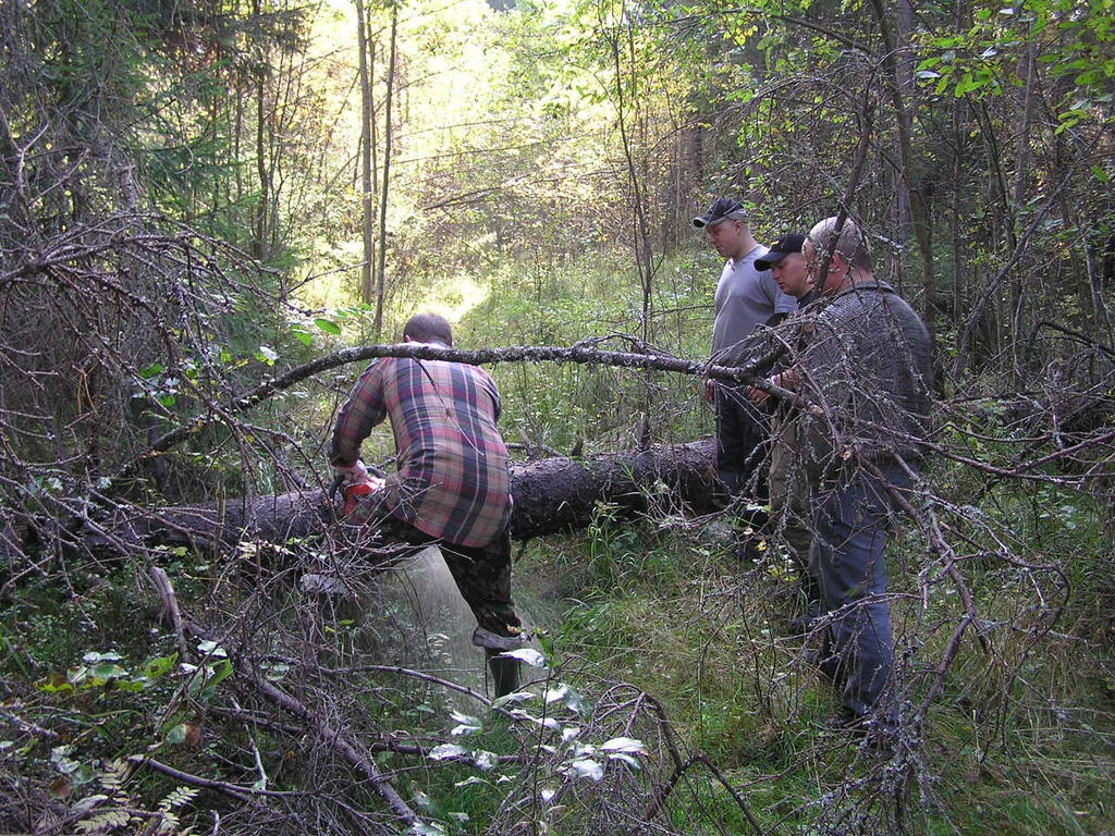 Moottorisahareitin alkua