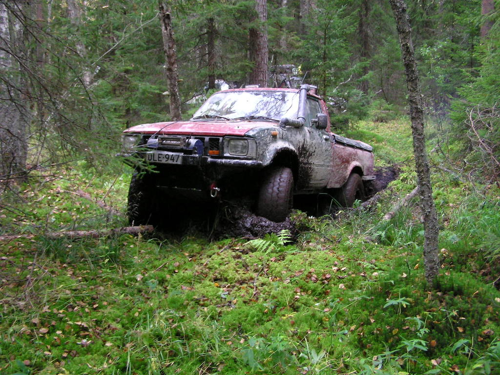 Velin ja hilux suossa