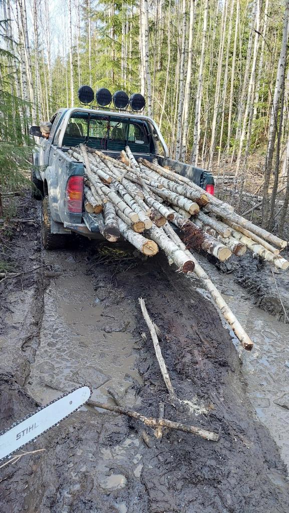 Reitin tekoa ja puiden siivousta 23.3 25