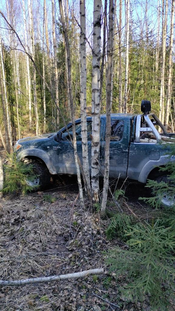 Reitin tekoa ja puiden siivousta 23.3.25