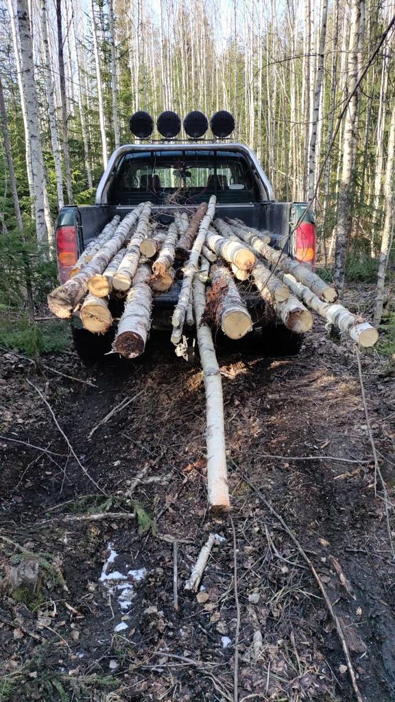 Reitin tekoa ja puiden siivousta 23.3.25 
Ja hiluxi vet :D