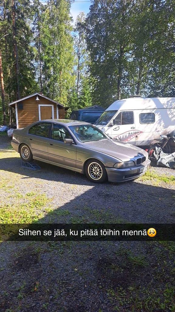 Kotipihassa ihmettely